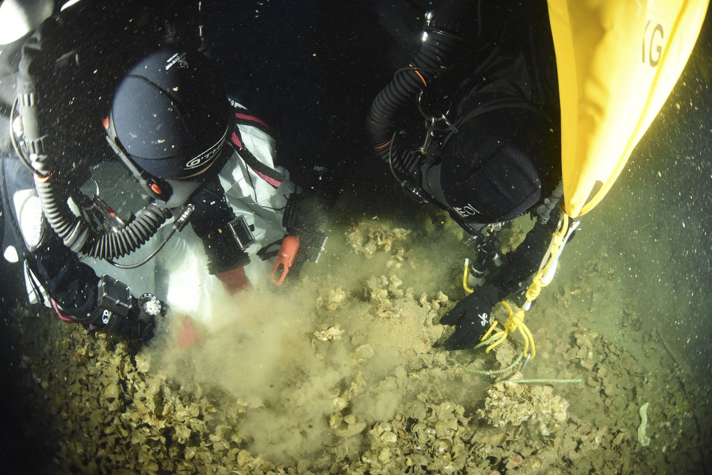 Divers recover artifacts from the Titanic's sister ship Britannic for the first time | iNFOnews.ca