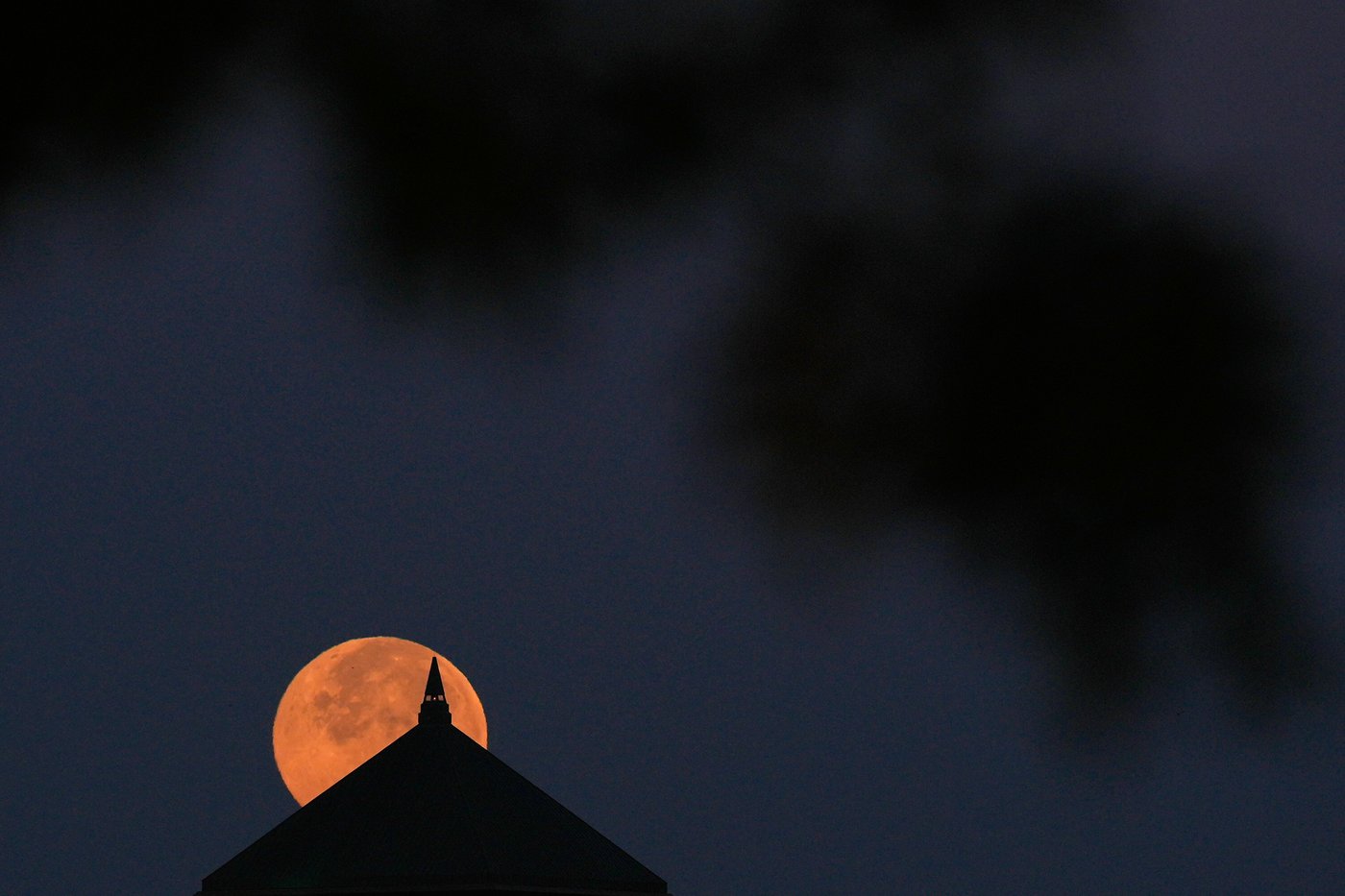 Bigger, brighter, closer: November's supermoon in photos | iNFOnews.ca Bigger, brighter, closer: November's supermoon in photos | iNFOnews.ca