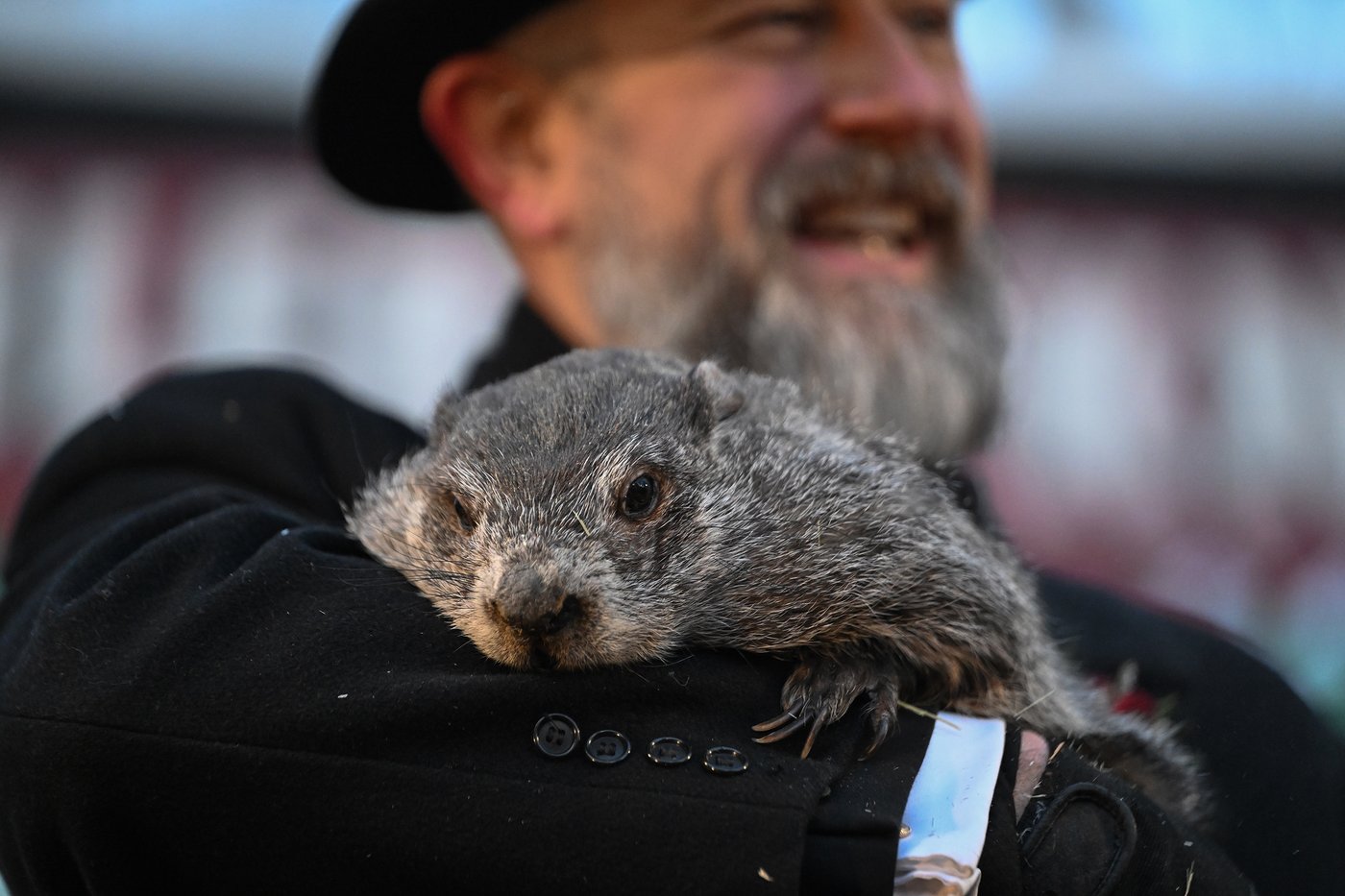 Punxsutawney Phil is said to have seen his shadow, forecasting 6 more weeks of wintry weather | iNFOnews.ca