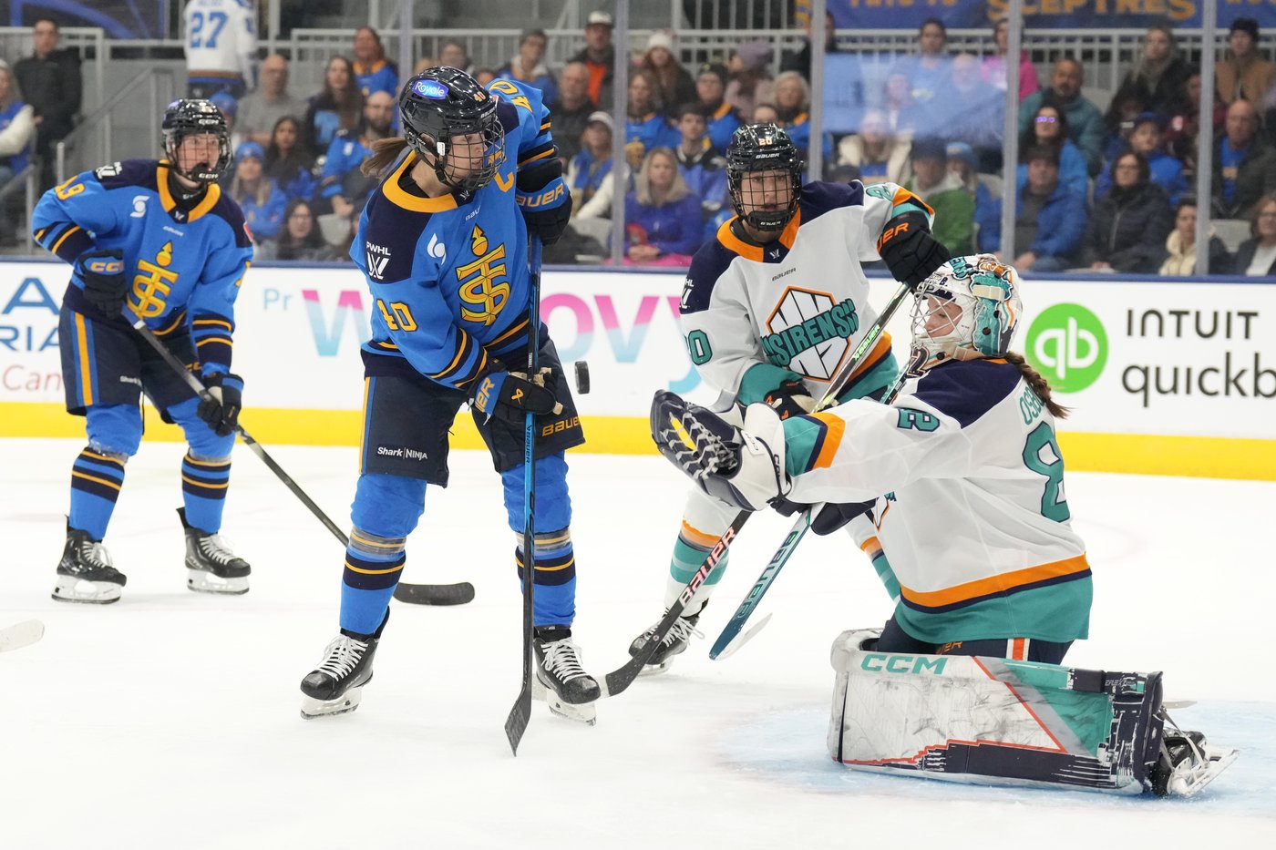 Troy Ryan: Sceptres not "completely snake-bitten yet" as scoring issues continue | iNFOnews.ca Troy Ryan: Sceptres not "completely snake-bitten yet" as scoring issues continue | iNFOnews.ca