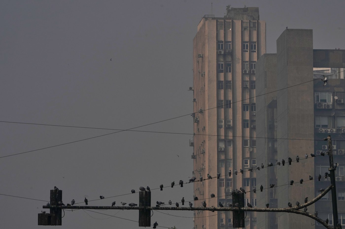 Photos show the daily struggle to breathe in New Delhi's dense winter smog | iNFOnews.ca Photos show the daily struggle to breathe in New Delhi's dense winter smog | iNFOnews.ca