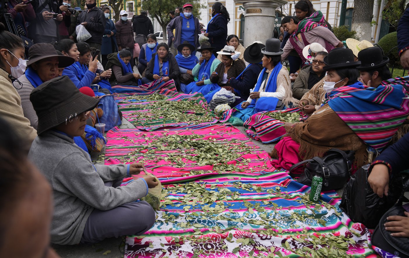 Coca leaves remain a source of work, faith and identity in Bolivia | iNFOnews.ca Coca leaves remain a source of work, faith and identity in Bolivia | iNFOnews.ca