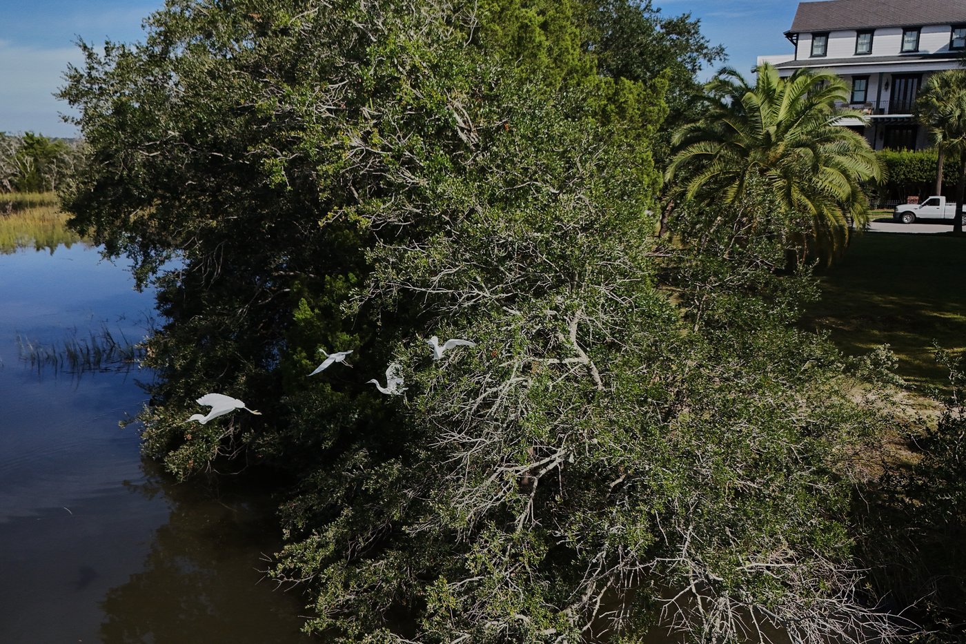 How friends in South Carolina are restoring a wetland and bringing their neighborhood together | iNFOnews.ca