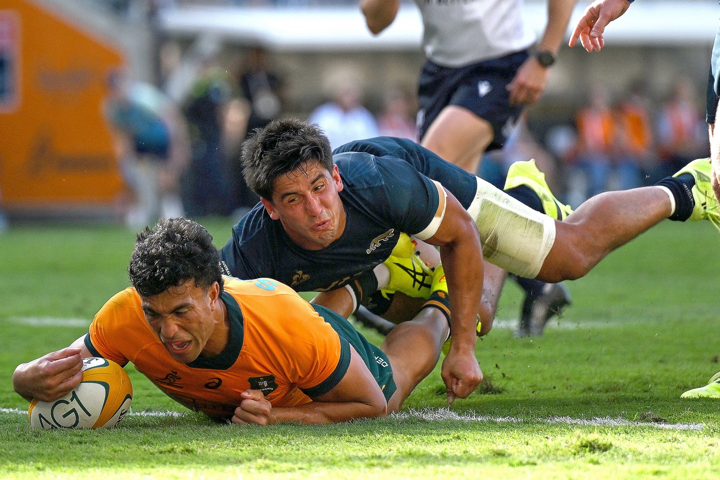 Wallabies' resurgence fuels high expectations ahead of sold-out test against Argentina | iNFOnews.ca