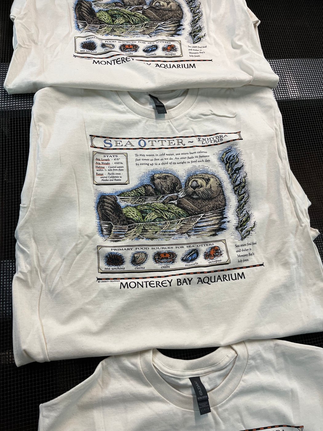 A T-shirt worn by Taylor Swift sparks a $2M windfall for sea otters | iNFOnews.ca A T-shirt worn by Taylor Swift sparks a $2M windfall for sea otters | iNFOnews.ca