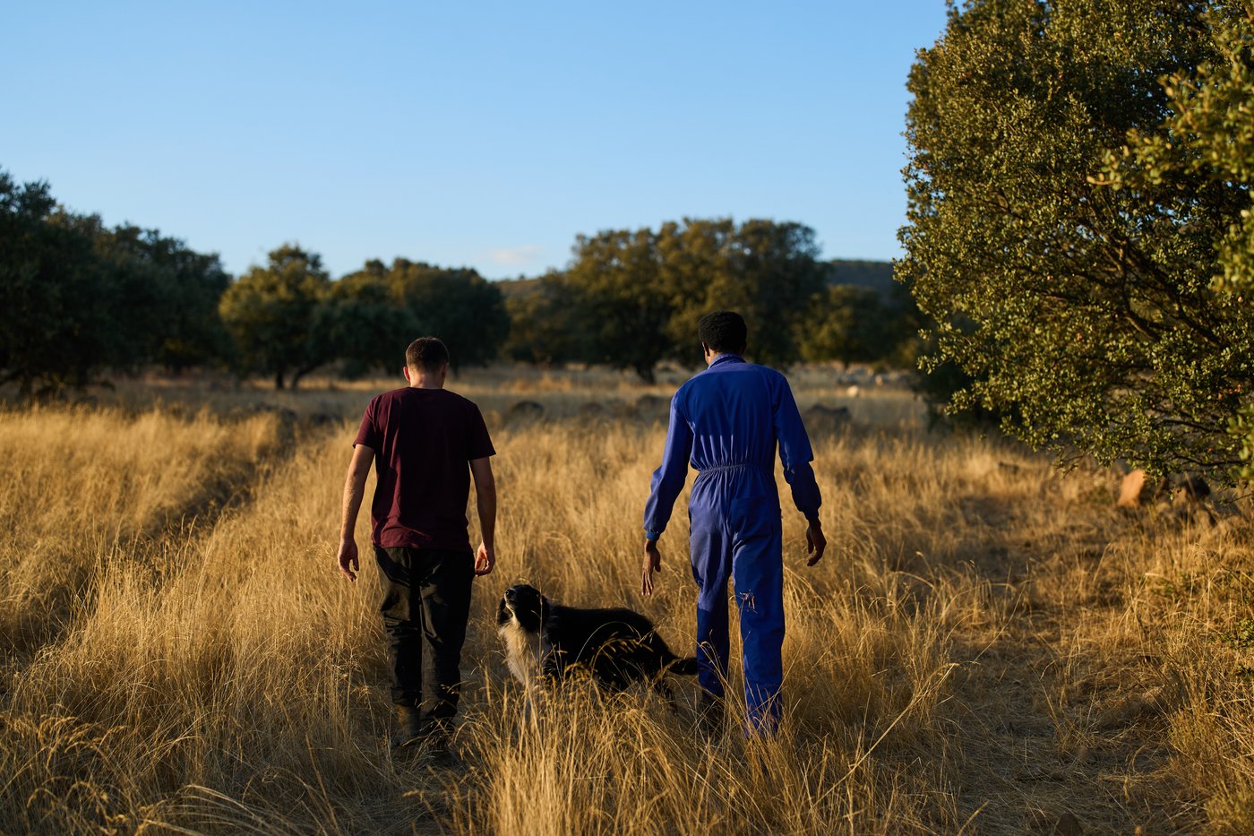 A neglected and ancient trade in Spain gets a boost from African migrants | iNFOnews.ca