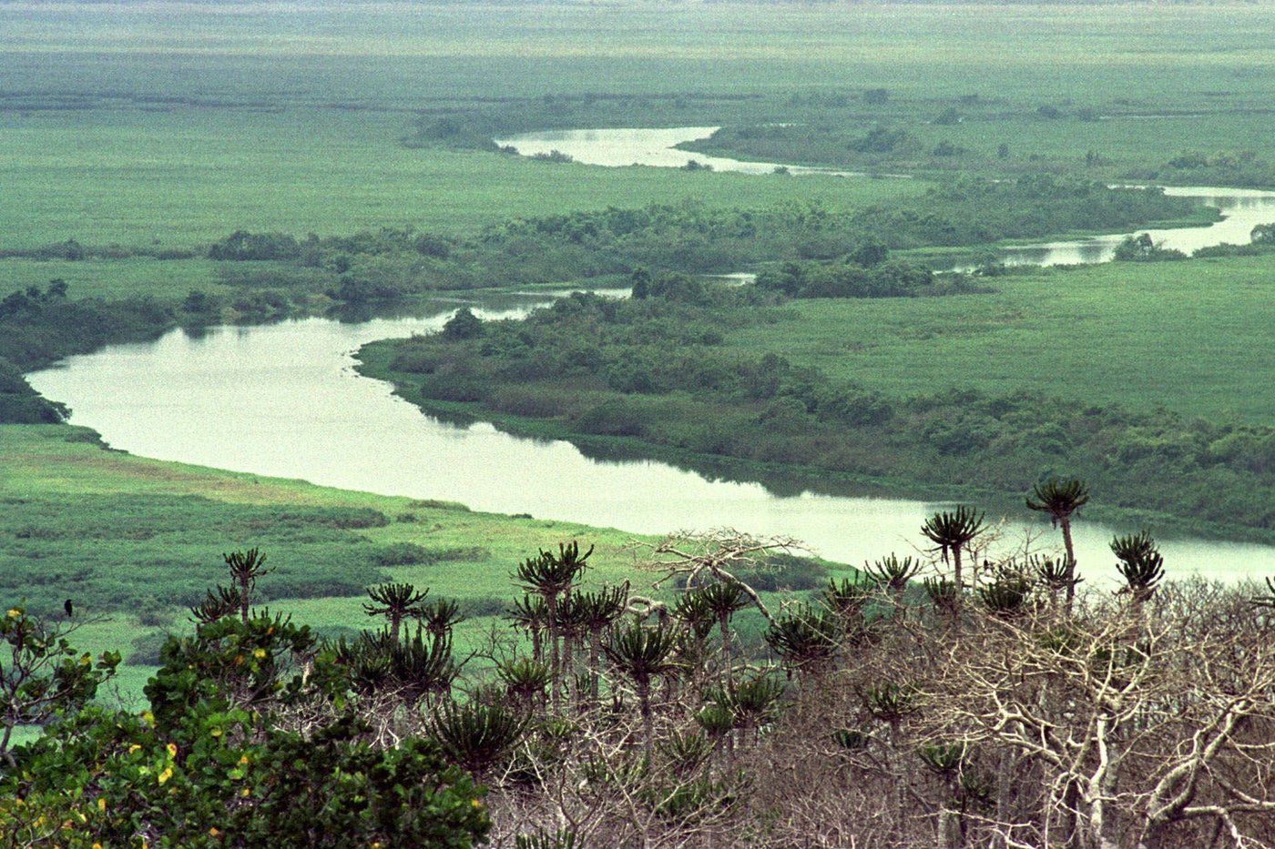 UNESCO designates 26 new biosphere reserves amid biodiversity challenges and climate change | iNFOnews.ca