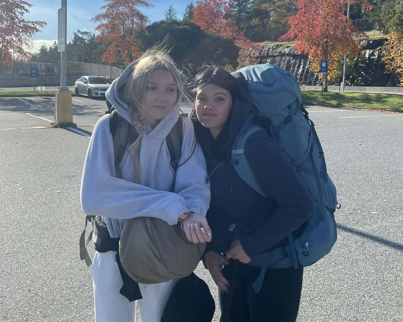 Australia culls dingoes linked to attack on Canadian Piper James, found dead on beach | iNFOnews.ca