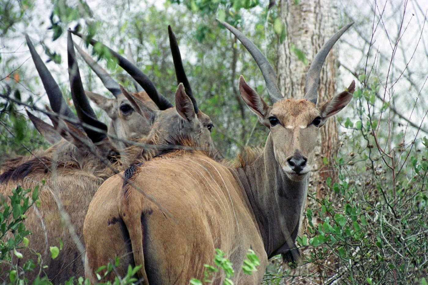 UNESCO designates 26 new biosphere reserves amid biodiversity challenges and climate change | iNFOnews.ca