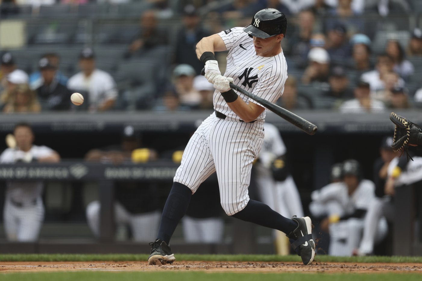 Judge makes diving catch as Yankees win 4-3, close within 2 games of AL East-leading Blue Jays | iNFOnews.ca Judge makes diving catch as Yankees win 4-3, close within 2 games of AL East-leading Blue Jays | iNFOnews.ca