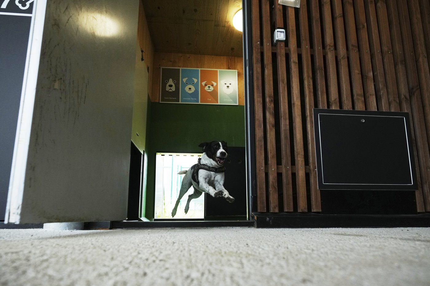 The top photos of the day by AP's photojournalists | iNFOnews.ca