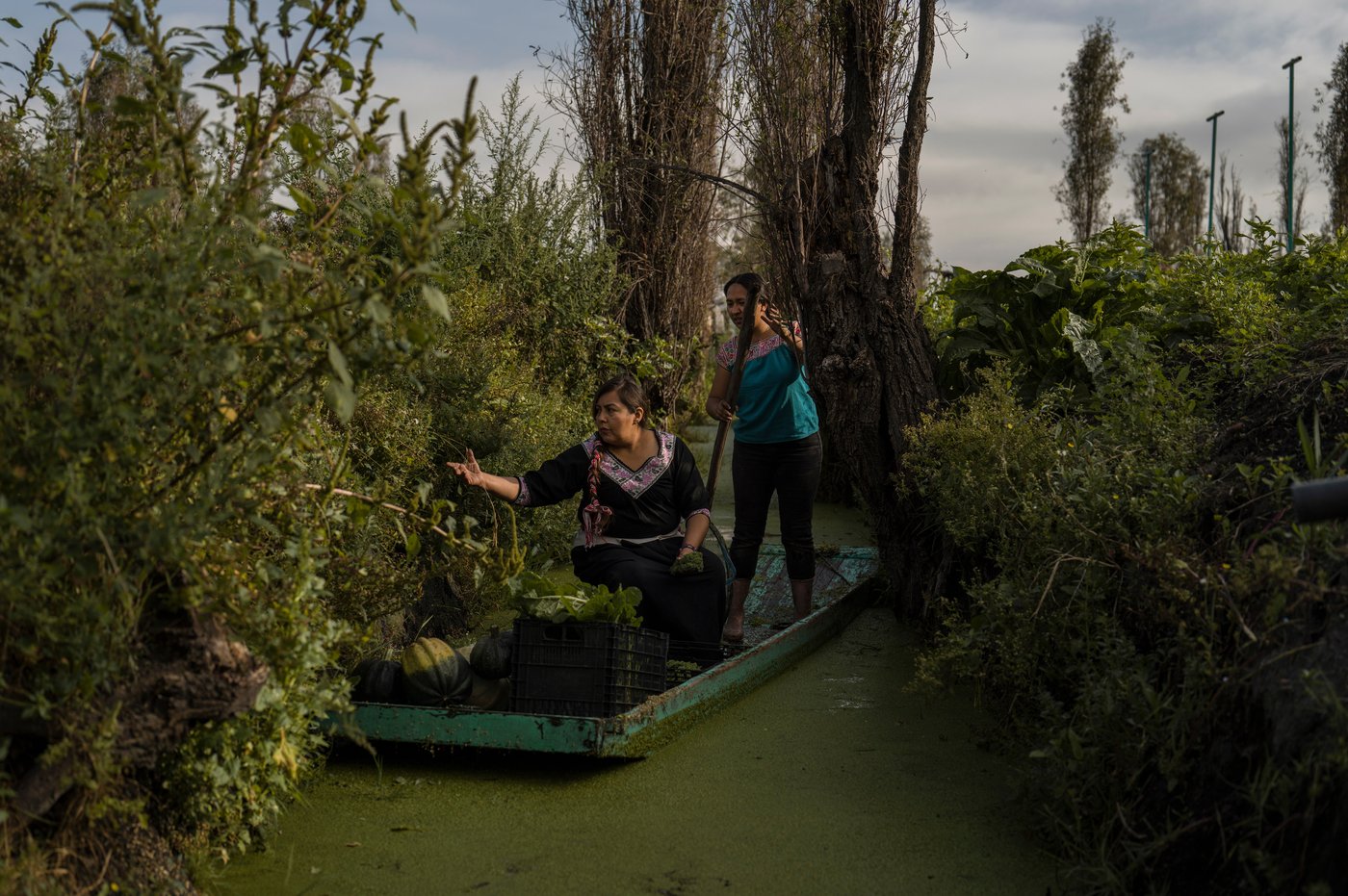 Women in Mexico step up to protect ancient Aztec farms and save a vanishing ecosystem | iNFOnews.ca
