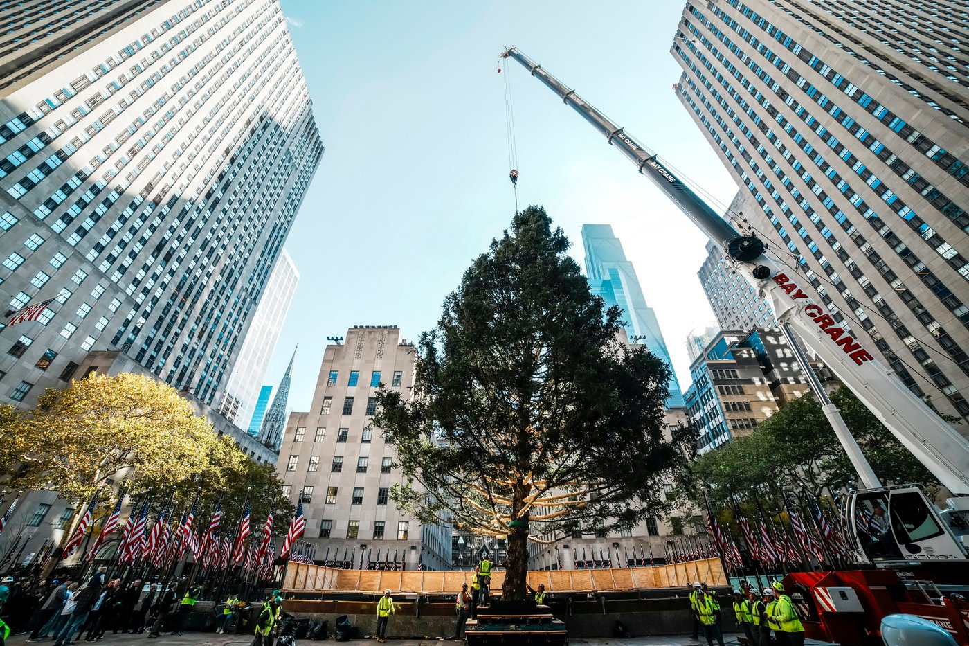 Rockefeller Center Christmas tree arrives in Manhattan, kicking off New York's holiday season | iNFOnews.ca