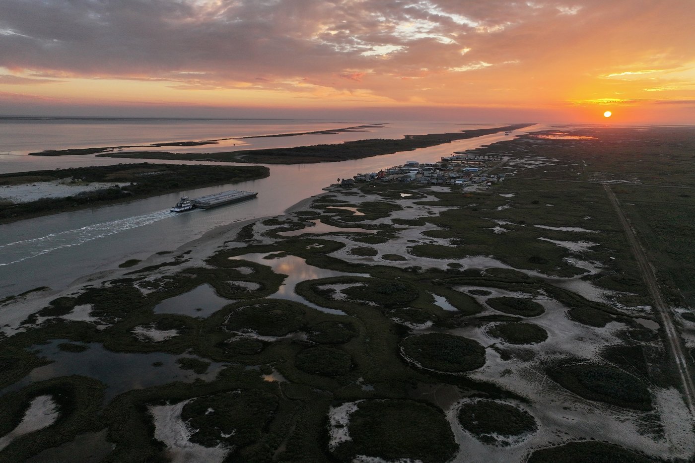 Along the Texas Coast, a new sanctuary aims to protect the endangered and rare whooping crane | iNFOnews.ca