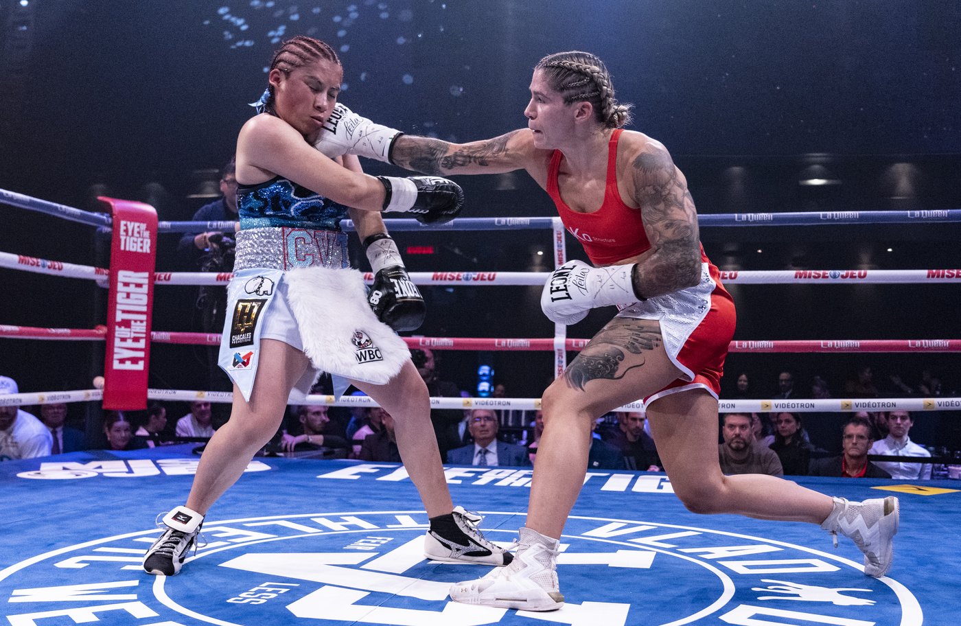 Canadian boxers Beaudoin and Galle will fight for titles on Paul-Joshua card | iNFOnews.ca Canadian boxers Beaudoin and Galle will fight for titles on Paul-Joshua card | iNFOnews.ca