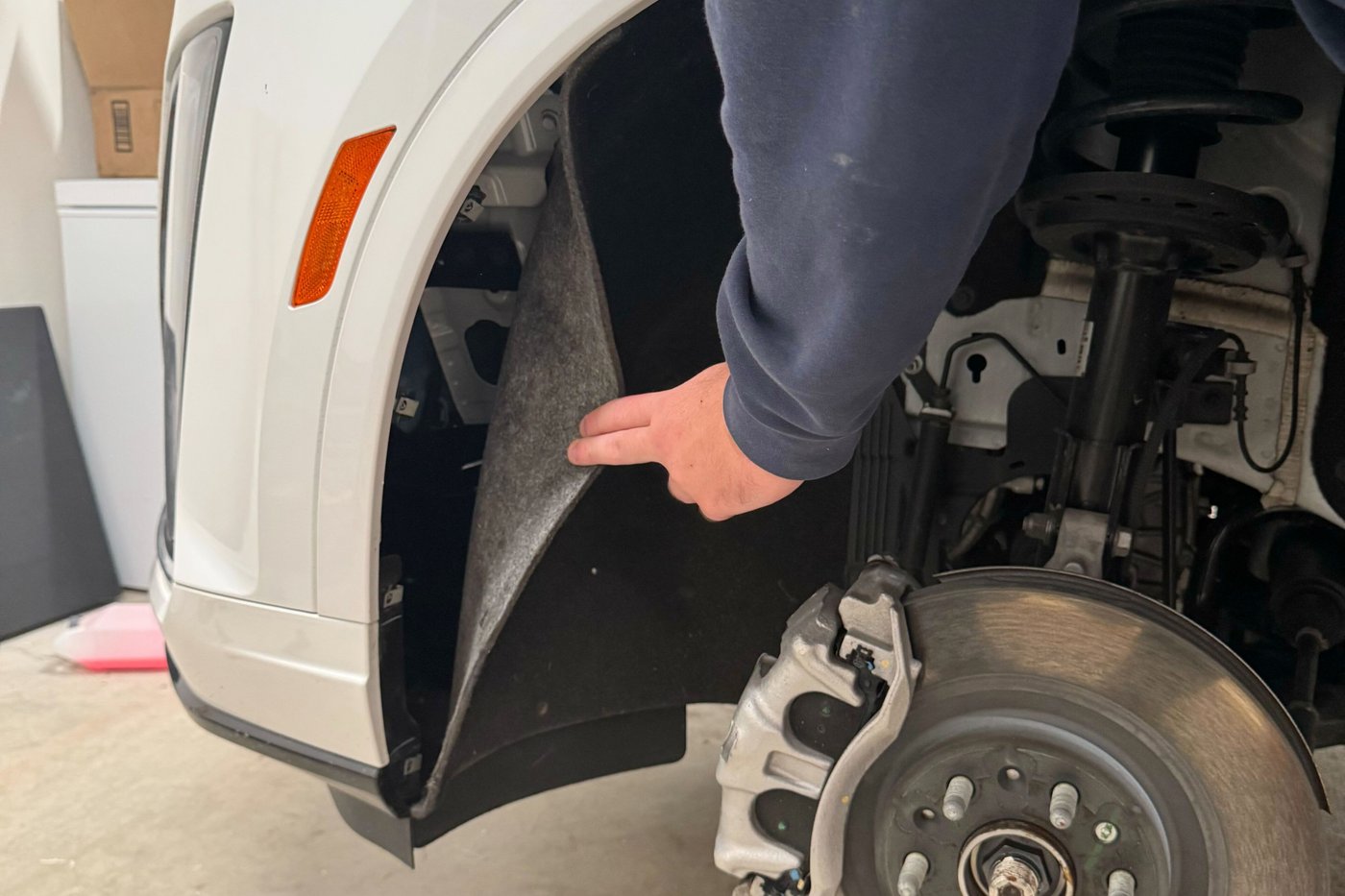 A mysterious meow from her car introduces Baylor coach Nicki Collen to a new family member | iNFOnews.ca