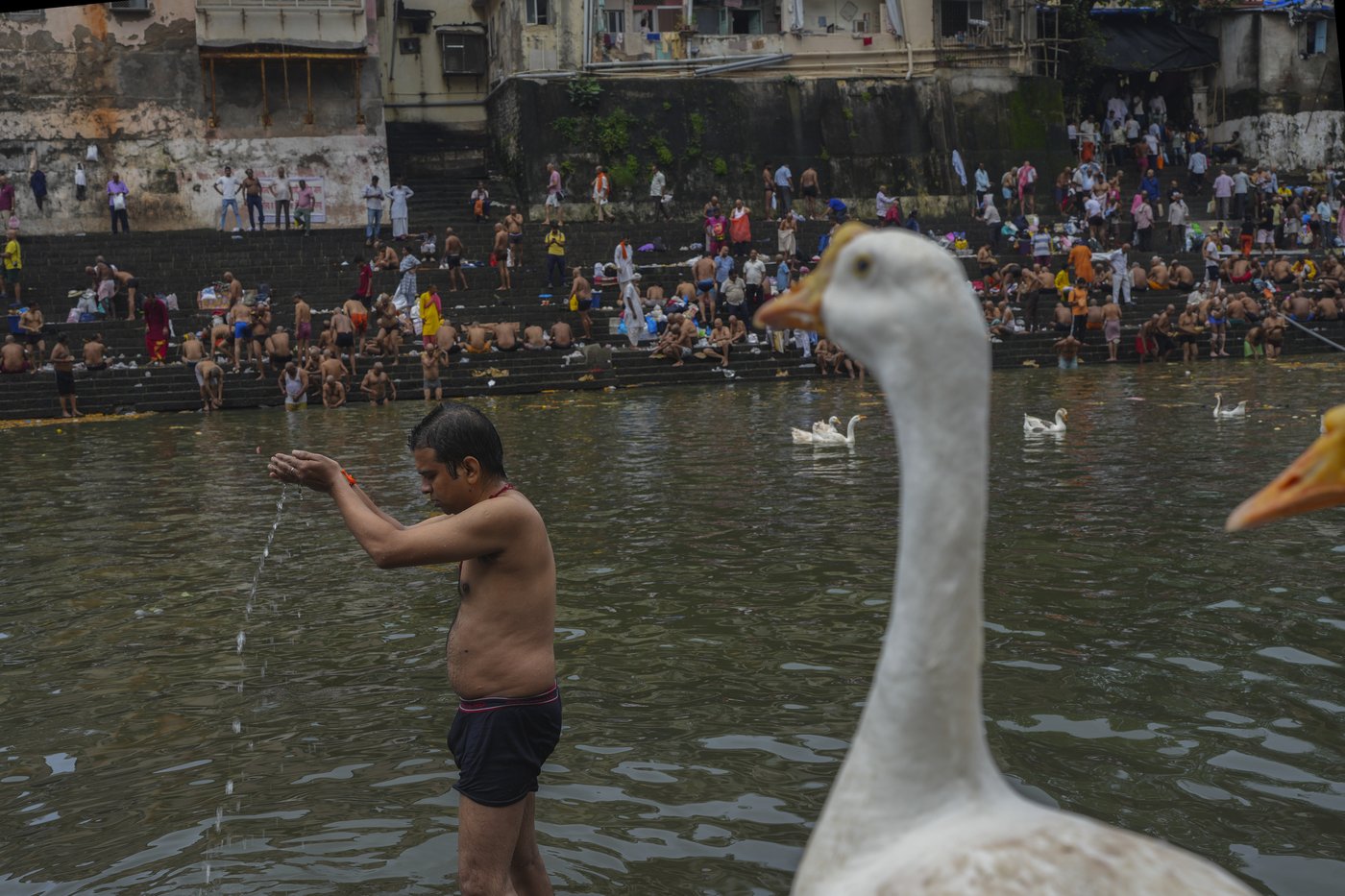 The top photos of the day by AP's photojournalists | iNFOnews.ca