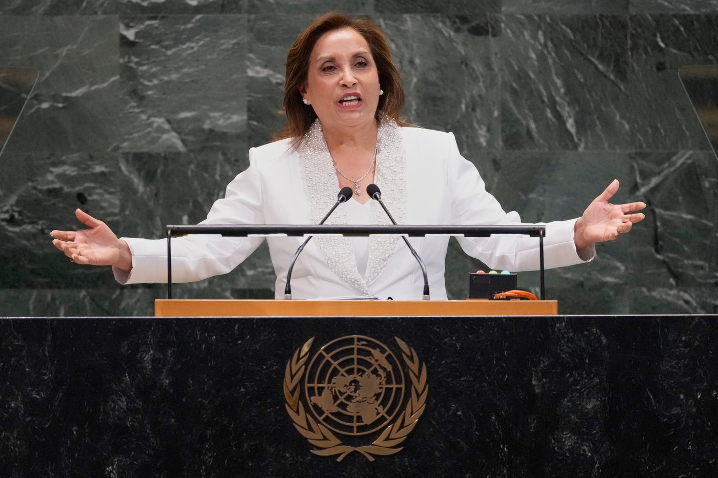 Peru’s Congress removes President Boluarte as a crime wave grips the country | iNFOnews.ca Peru’s Congress removes President Boluarte as a crime wave grips the country | iNFOnews.ca