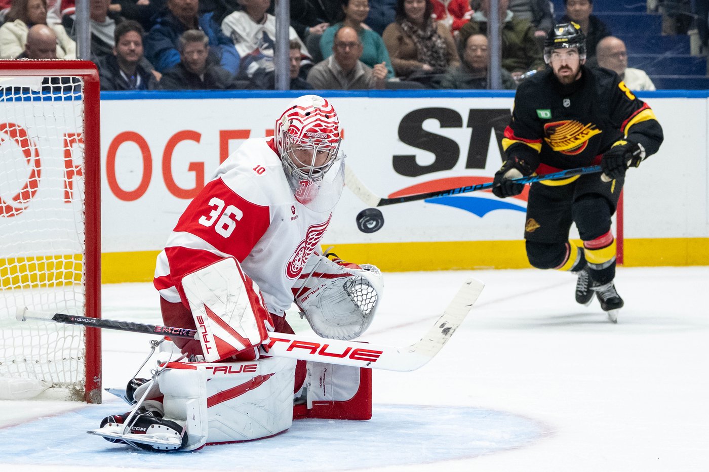 Gibson nets shutout as Red Wings roll past struggling Canucks 4-0 | iNFOnews.ca Gibson nets shutout as Red Wings roll past struggling Canucks 4-0 | iNFOnews.ca