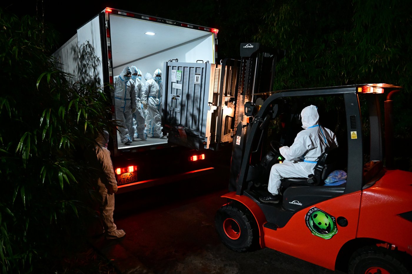 Japan's last pair of pandas have arrived back in China | iNFOnews.ca Japan's last pair of pandas have arrived back in China | iNFOnews.ca