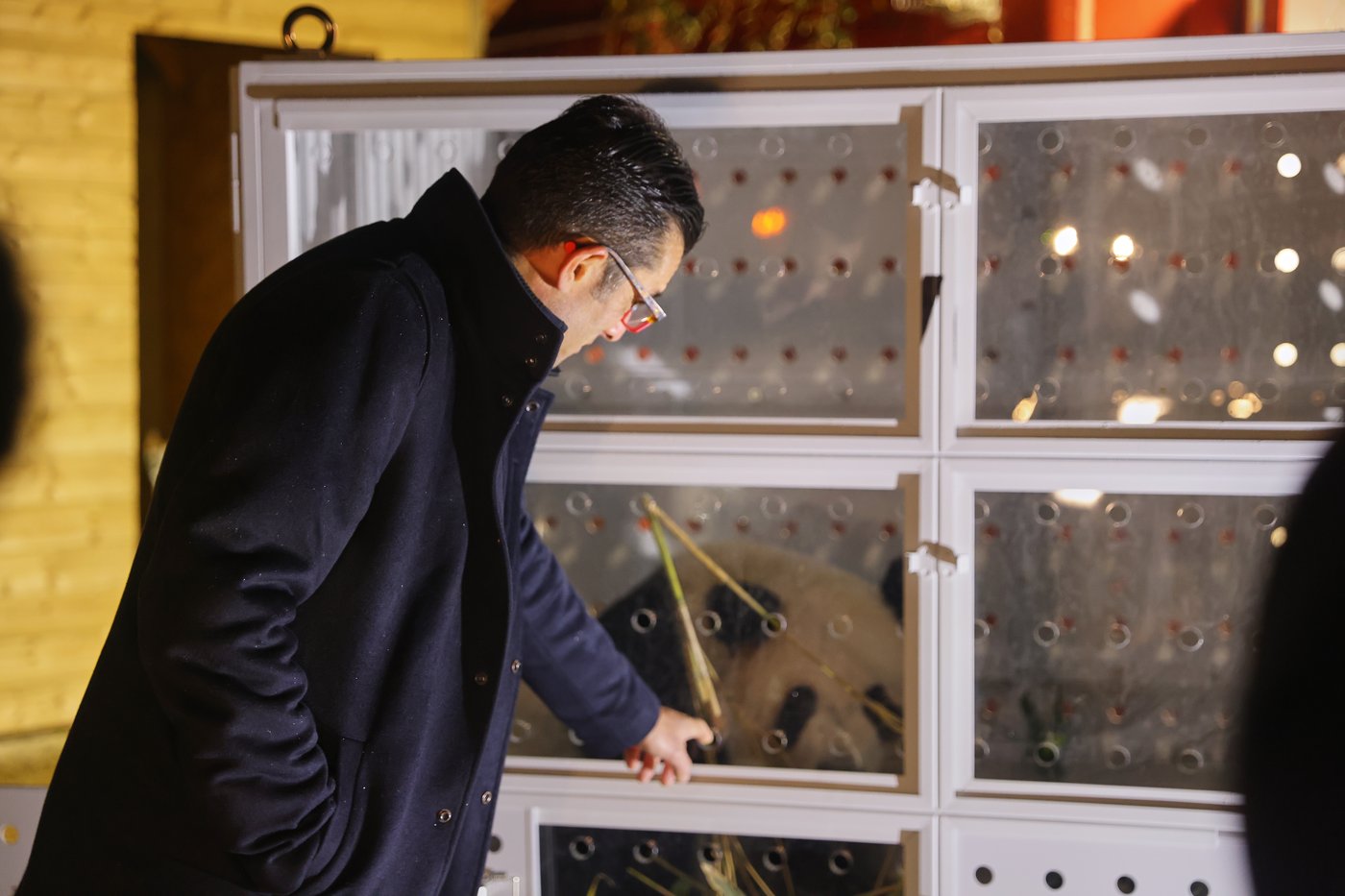 France says 'bon voyage' to 2 giant pandas as they head back to China | iNFOnews.ca