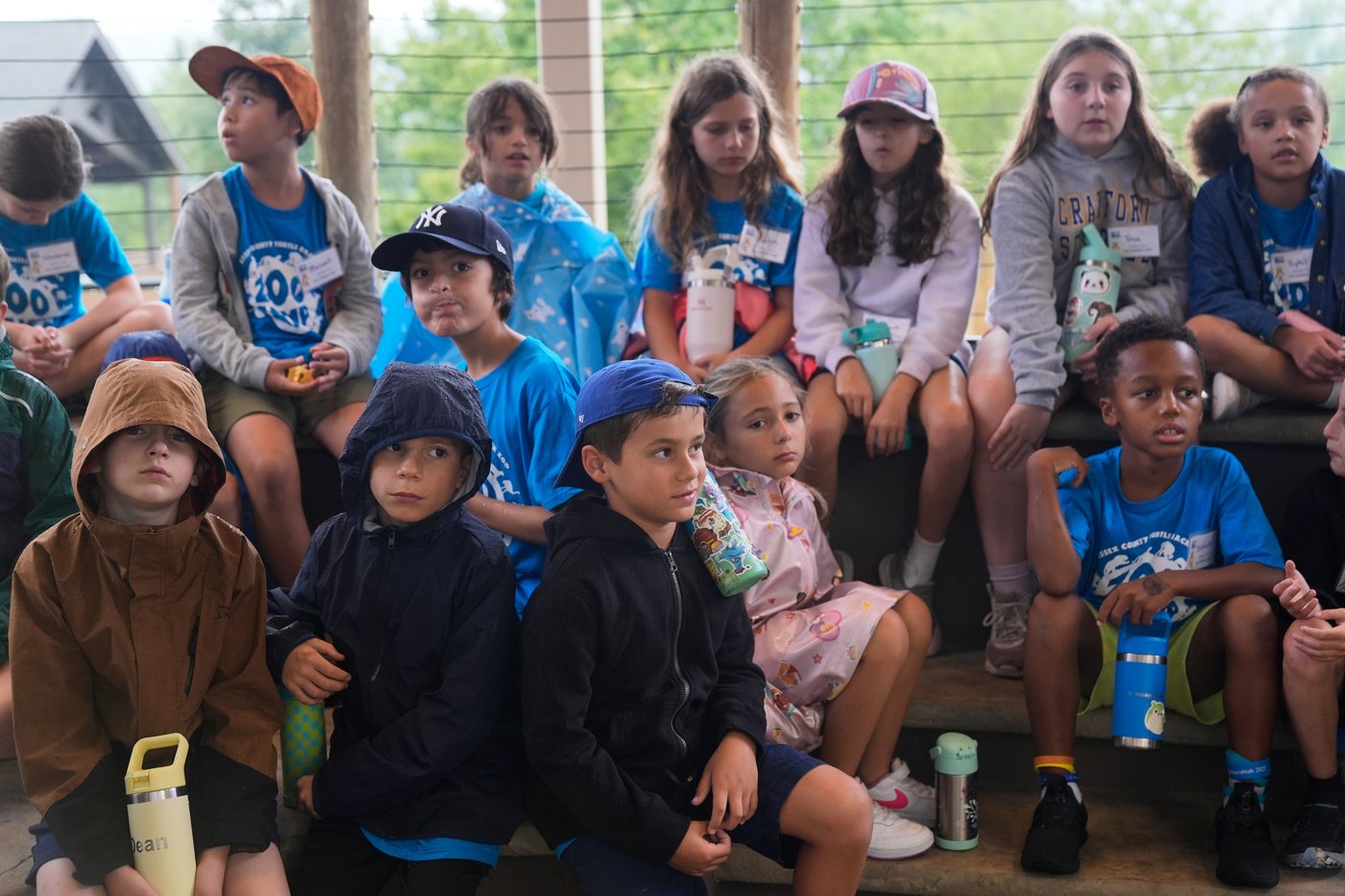 Visitors to a New Jersey zoo get to watch veterinarians treat the animals | iNFOnews.ca Visitors to a New Jersey zoo get to watch veterinarians treat the animals | iNFOnews.ca