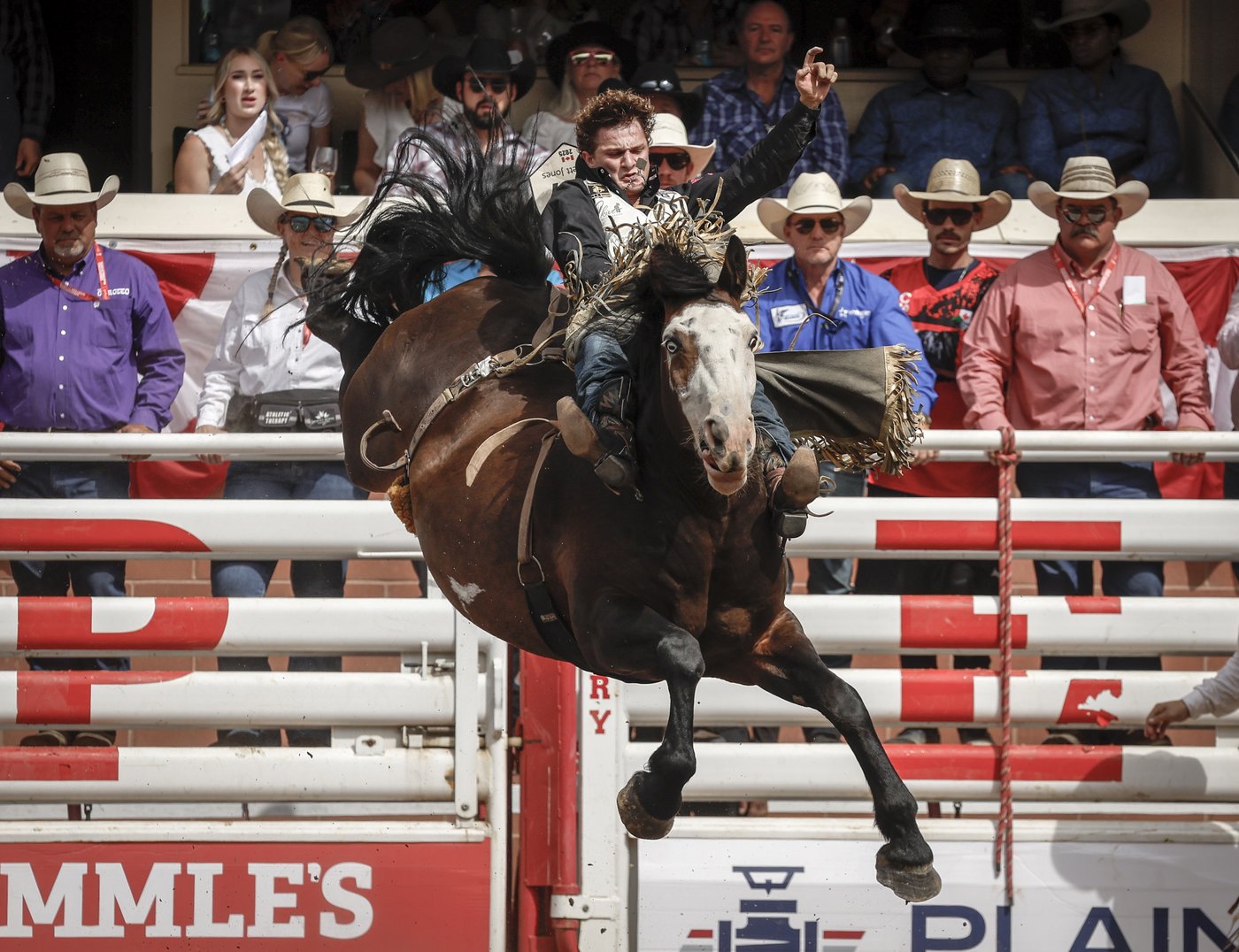 Photo Gallery: The year in photos 2025 | iNFOnews.ca