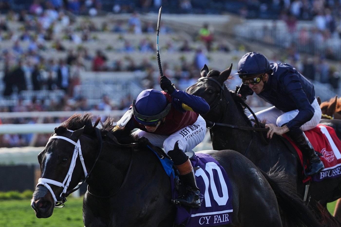 Ted Noffey wins Breeders' Cup Juvenile for Todd Pletcher, becomes early Kentucky Derby favorite | iNFOnews.ca Ted Noffey wins Breeders' Cup Juvenile for Todd Pletcher, becomes early Kentucky Derby favorite | iNFOnews.ca