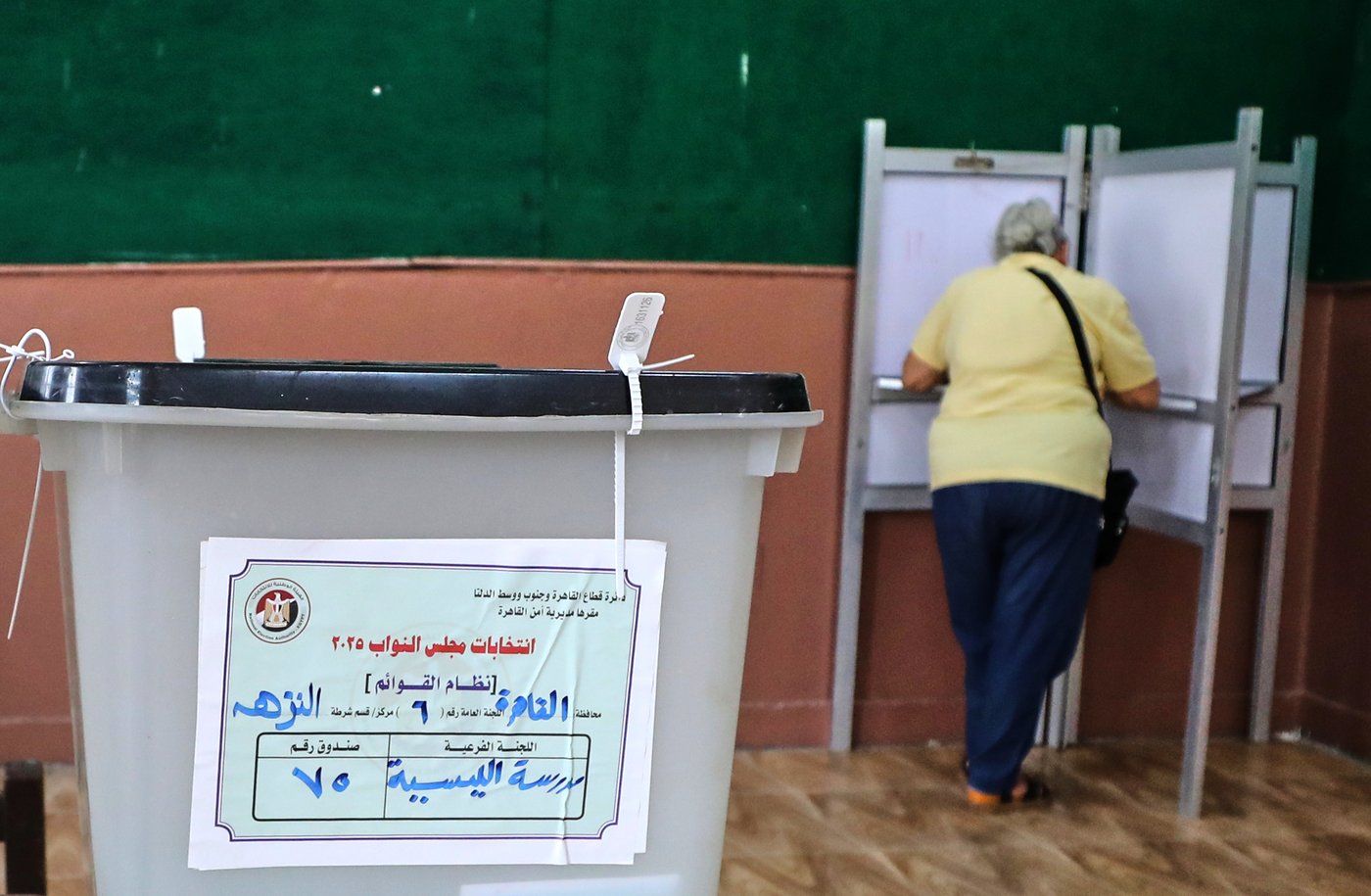 Egyptians vote in second phase of parliamentary elections | iNFOnews.ca Egyptians vote in second phase of parliamentary elections | iNFOnews.ca