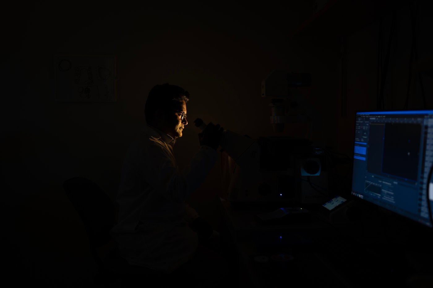 PHOTO ESSAY: Scientists trying to unravel one of the body's biggest mysteries | iNFOnews.ca