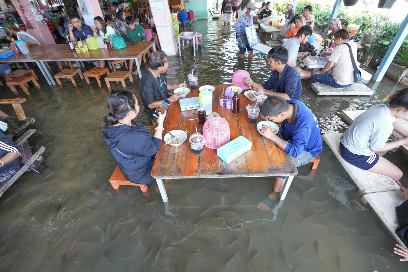 A flooded restaurant in Thailand brings delight with swimming fish among diners | iNFOnews.ca A flooded restaurant in Thailand brings delight with swimming fish among diners | iNFOnews.ca