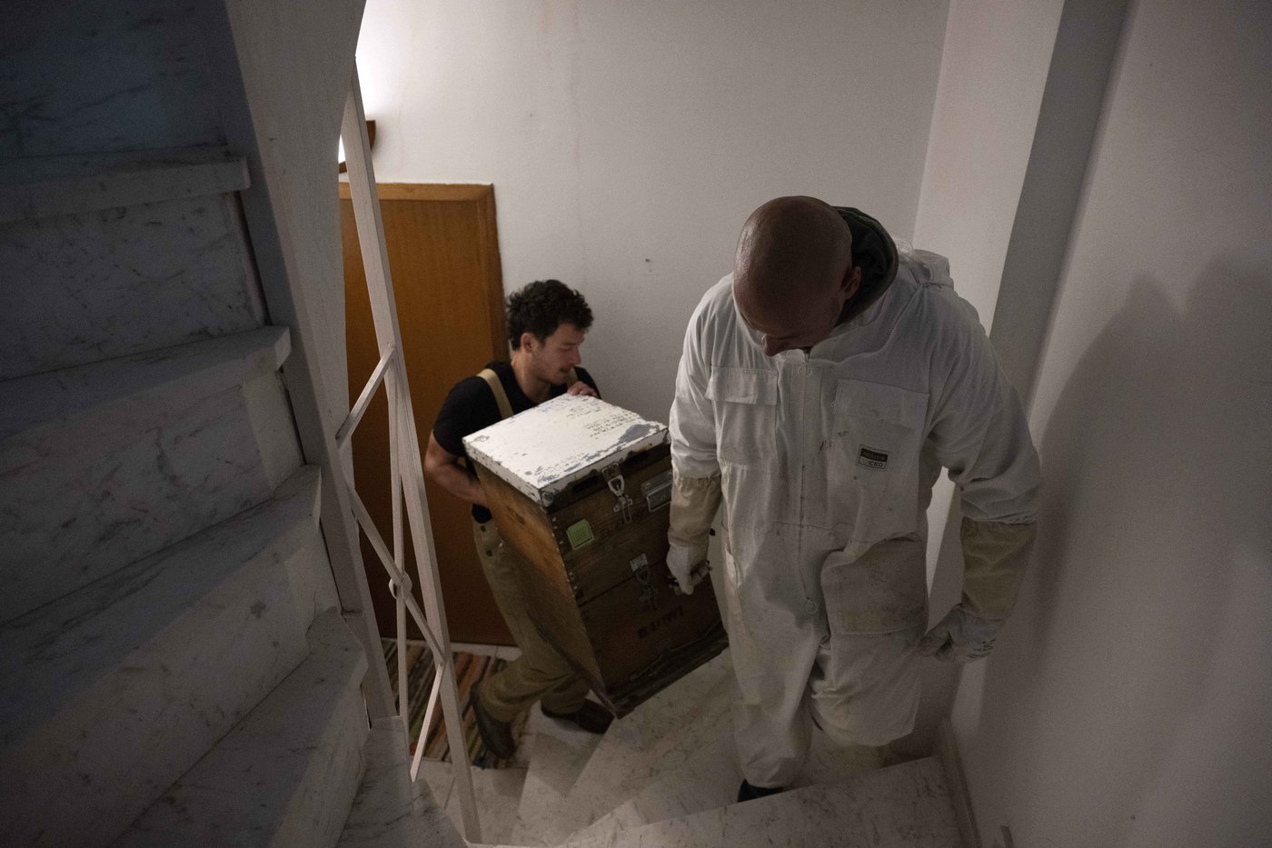 Rooftop beekeeping in Athens: A new buzz in urban ecosystems, in photos | iNFOnews.ca