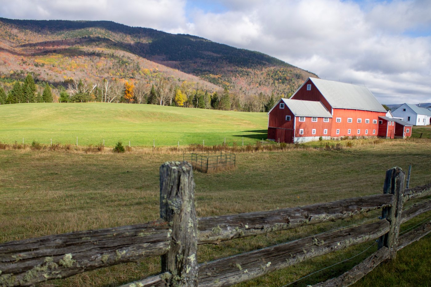 Leaf-peeping season hampered by drought: Fall foliage dropping sooner, showing less color | iNFOnews.ca Leaf-peeping season hampered by drought: Fall foliage dropping sooner, showing less color | iNFOnews.ca