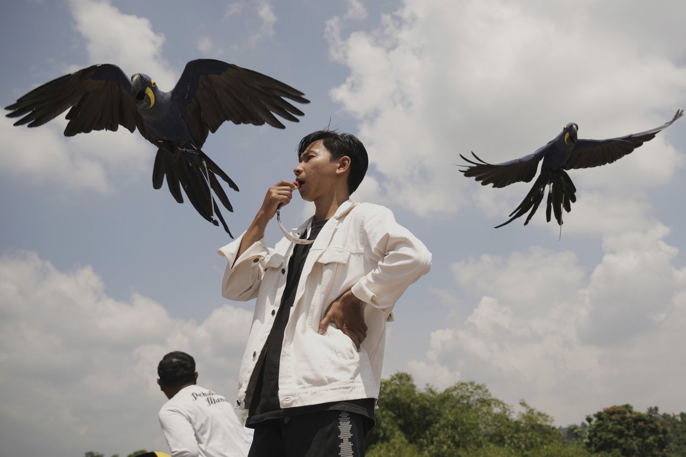 Photos show how an Indonesian motorbike mechanic became a macaw trainer | iNFOnews.ca
