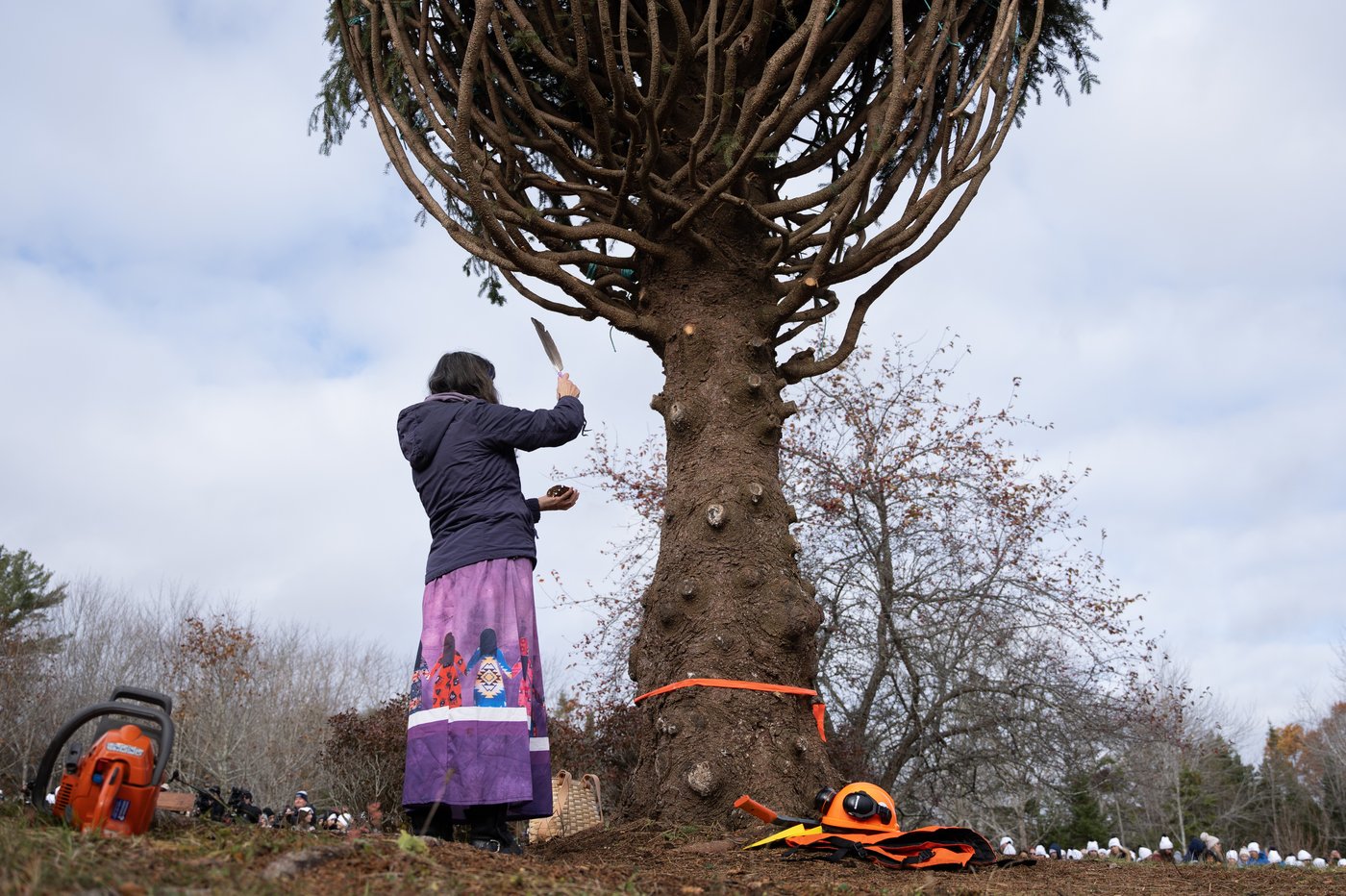 Photo Gallery: Annual N.S. Christmas tree gift en route to Boston | iNFOnews.ca