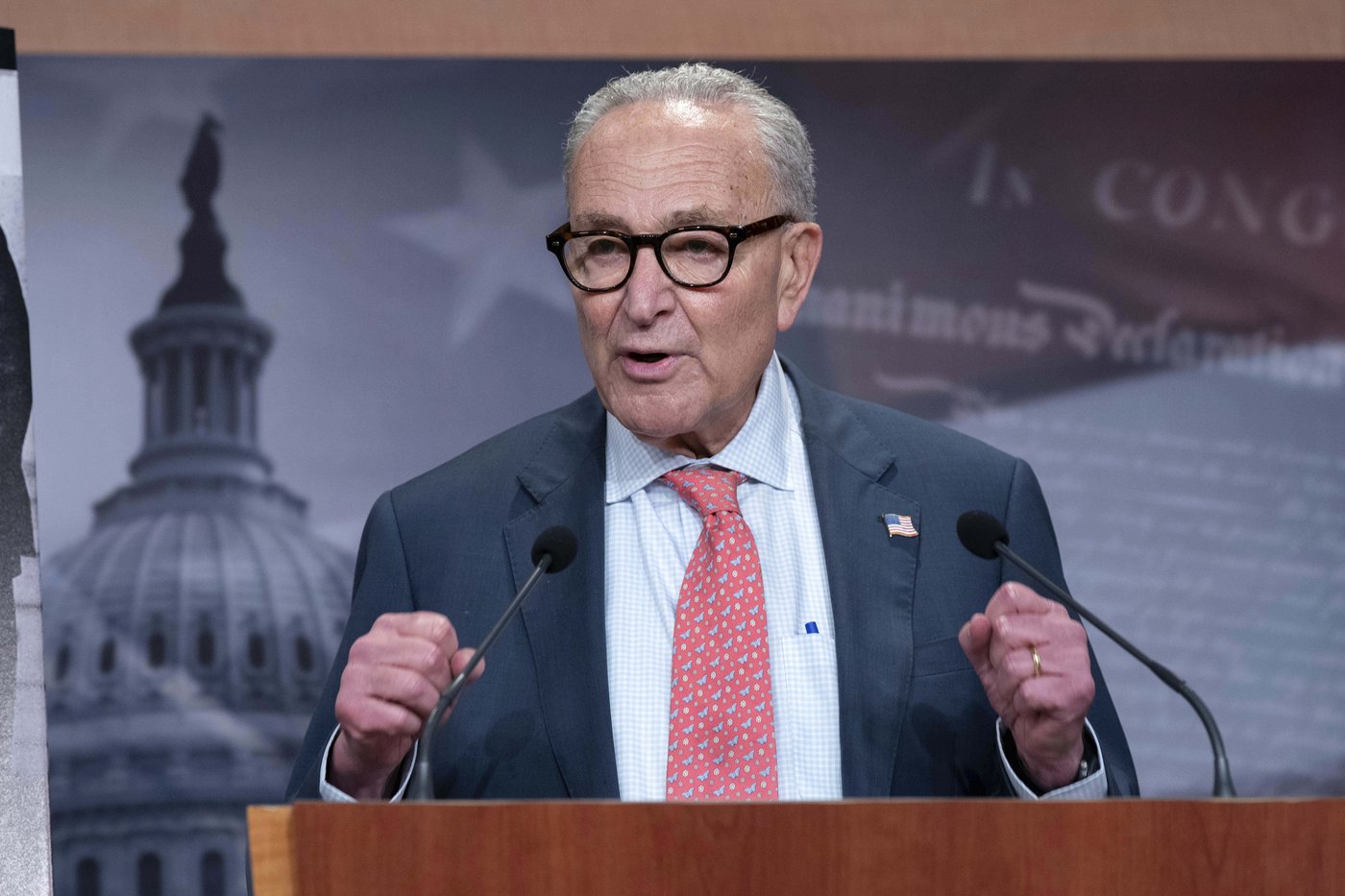 As Democrats prepare for a possible federal shutdown, their endgame is uncertain | iNFOnews.ca