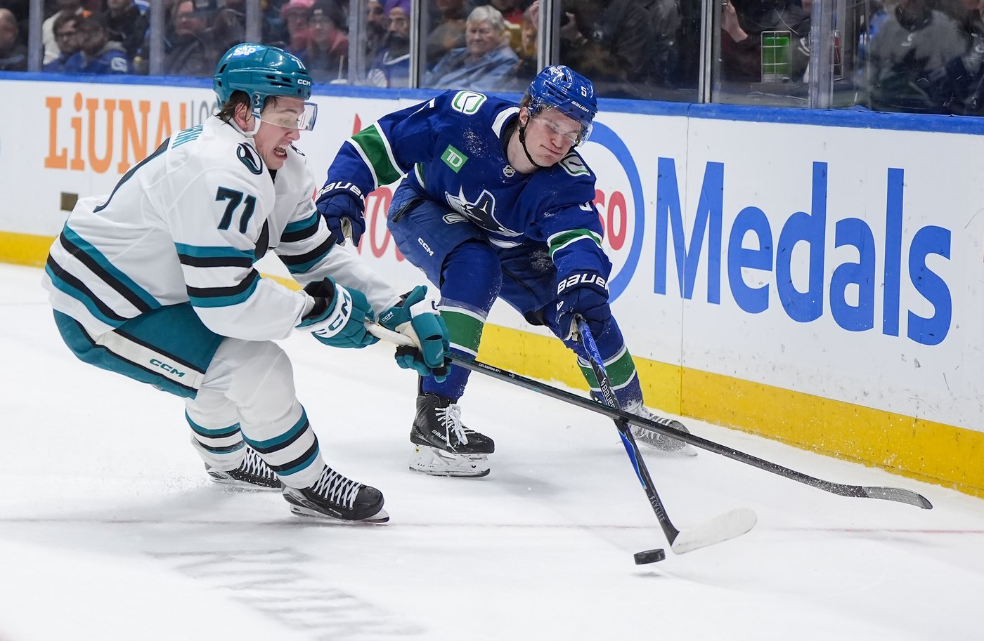 Celebrini nets four points, Sharks chomp down on Canucks with 5-2 win | iNFOnews.ca