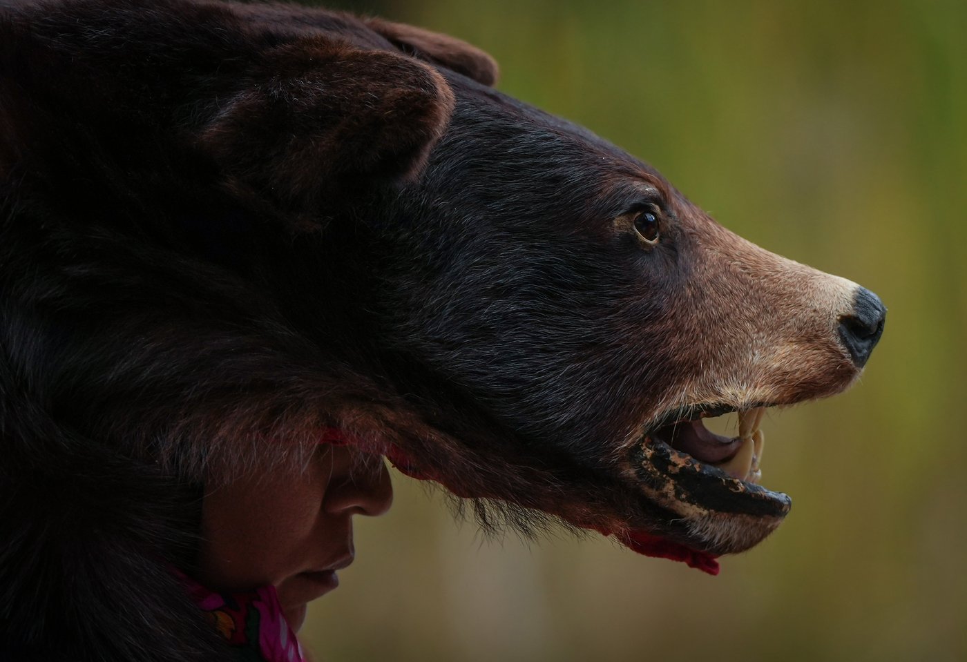 Photo Gallery: The year in photos 2025 | iNFOnews.ca