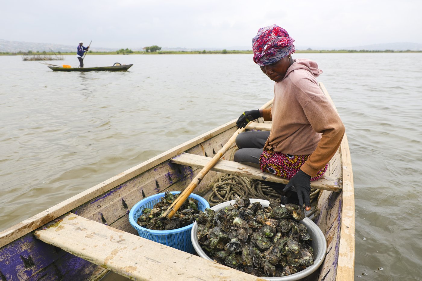 Photos show Ghana's female oyster farmers sustaining a generational practice | iNFOnews.ca
