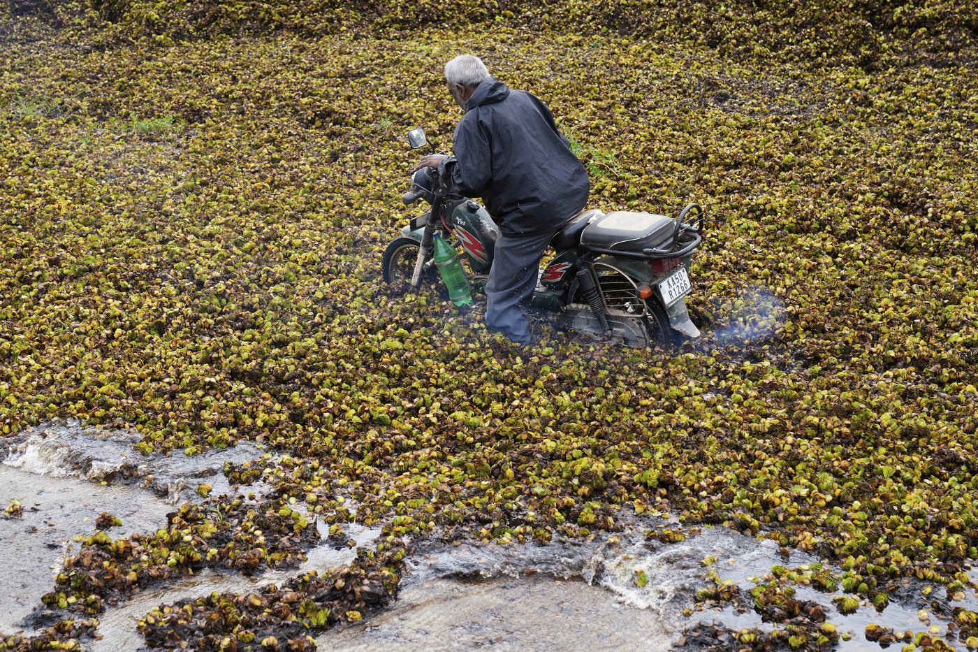 As climate risks grow, India's Bengaluru is trying to save its vanishing lakes | iNFOnews.ca As climate risks grow, India's Bengaluru is trying to save its vanishing lakes | iNFOnews.ca