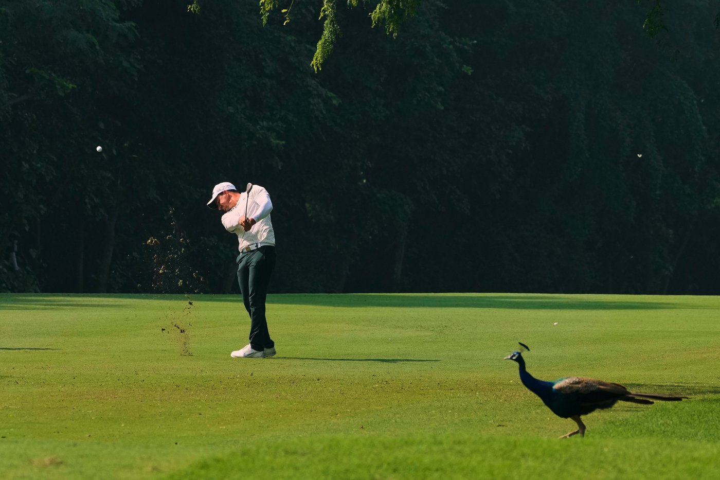 Shane Lowry leads in India with a 64, Rory McIlroy leaves driver out of the bag and shoots 69 | iNFOnews.ca Shane Lowry leads in India with a 64, Rory McIlroy leaves driver out of the bag and shoots 69 | iNFOnews.ca