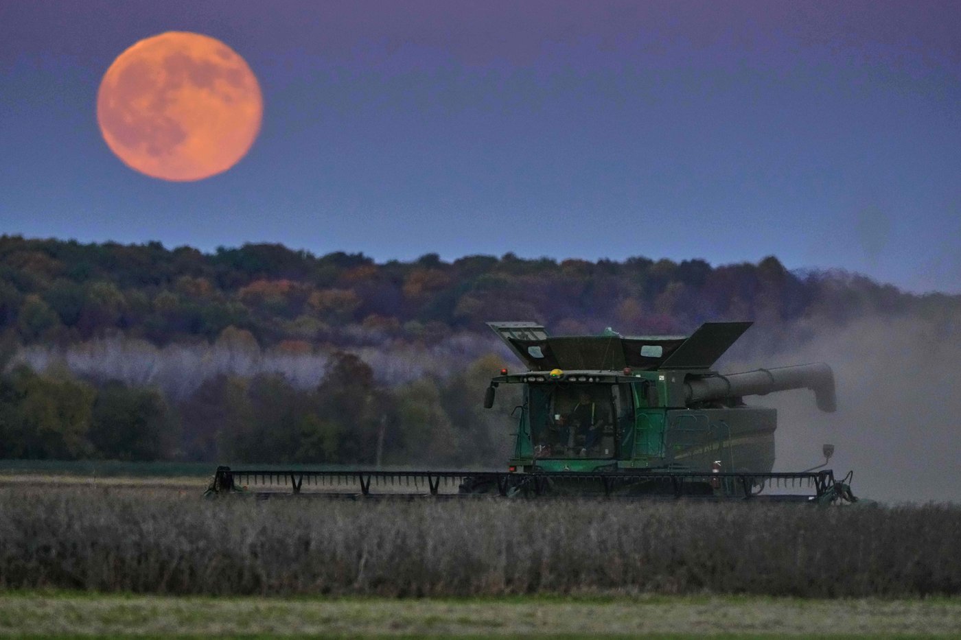 Bigger, brighter, closer: November's supermoon in photos | iNFOnews.ca Bigger, brighter, closer: November's supermoon in photos | iNFOnews.ca