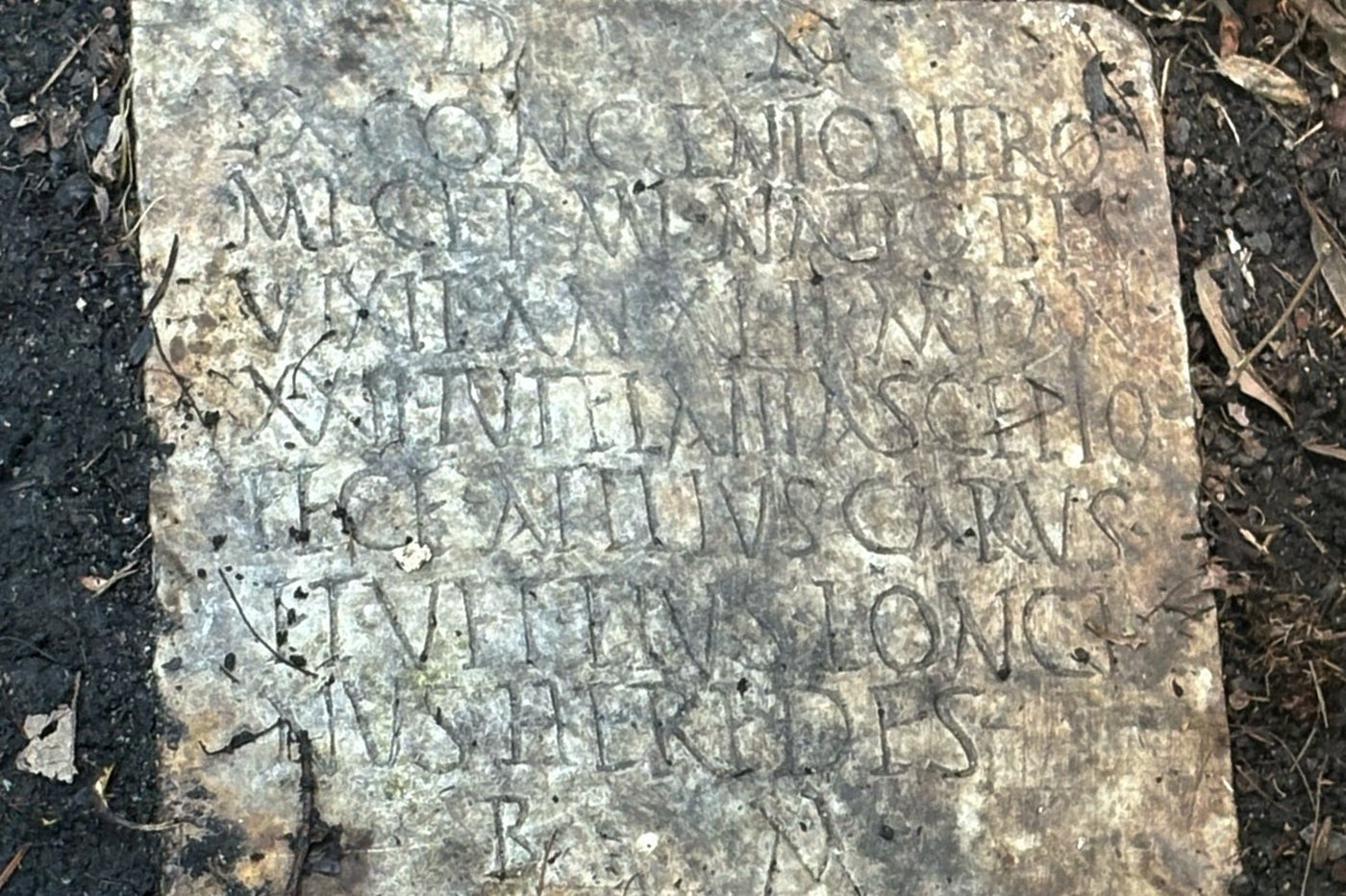 A long-lost ancient Roman artifact reappears in a New Orleans backyard | iNFOnews.ca A long-lost ancient Roman artifact reappears in a New Orleans backyard | iNFOnews.ca