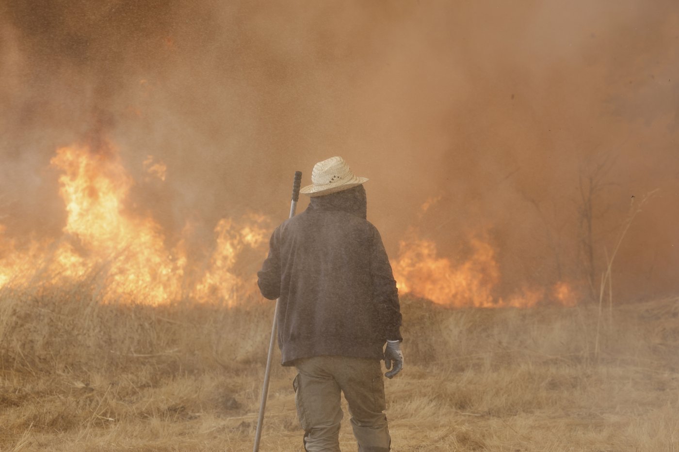 Climate change made heat and dryness that fueled Iberian wildfires 40 times more likely, study finds | iNFOnews.ca Climate change made heat and dryness that fueled Iberian wildfires 40 times more likely, study finds | iNFOnews.ca