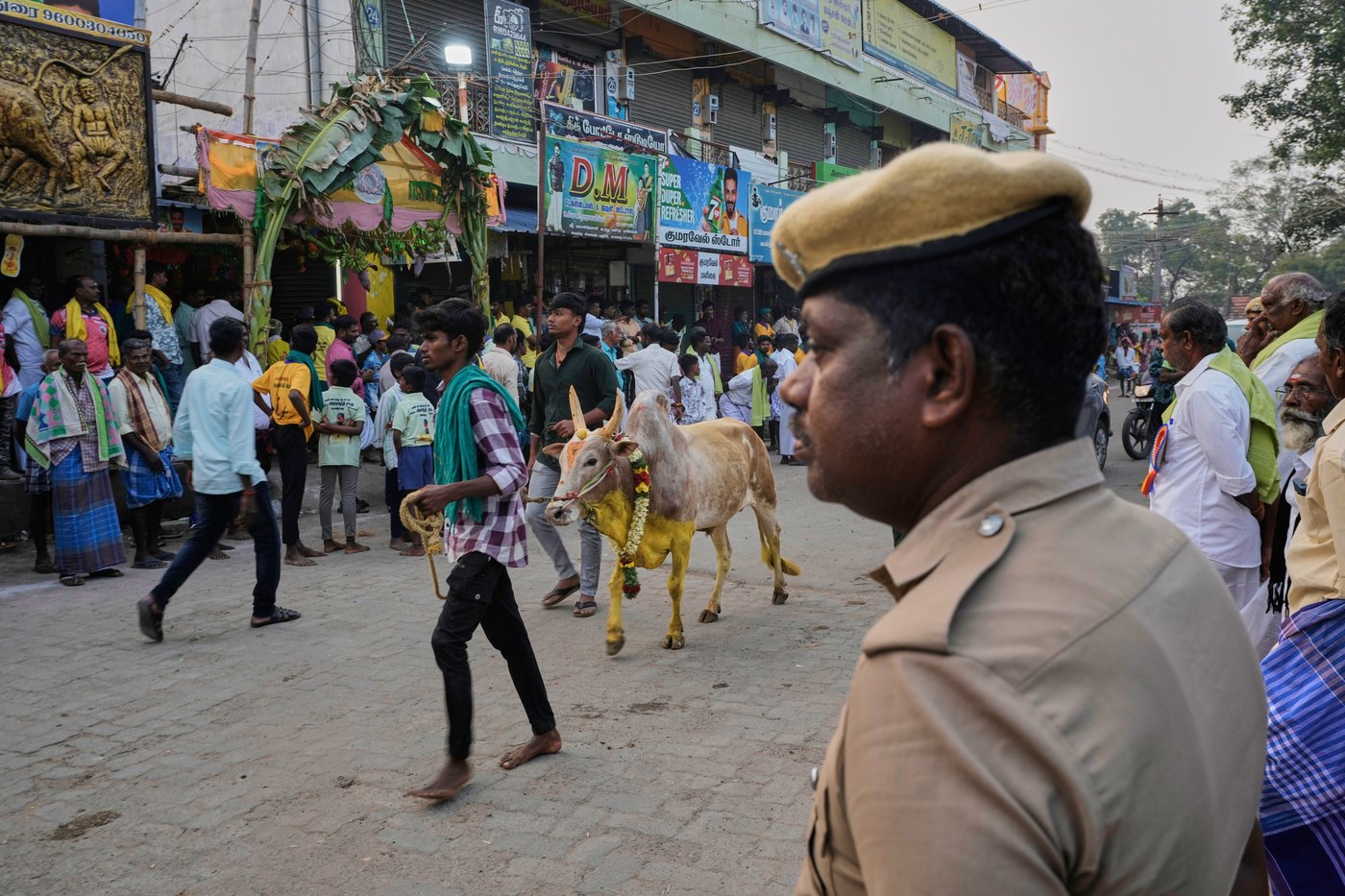PHOTO ESSAY: Centuries-old bull festival in southern India remains a popular draw | iNFOnews.ca