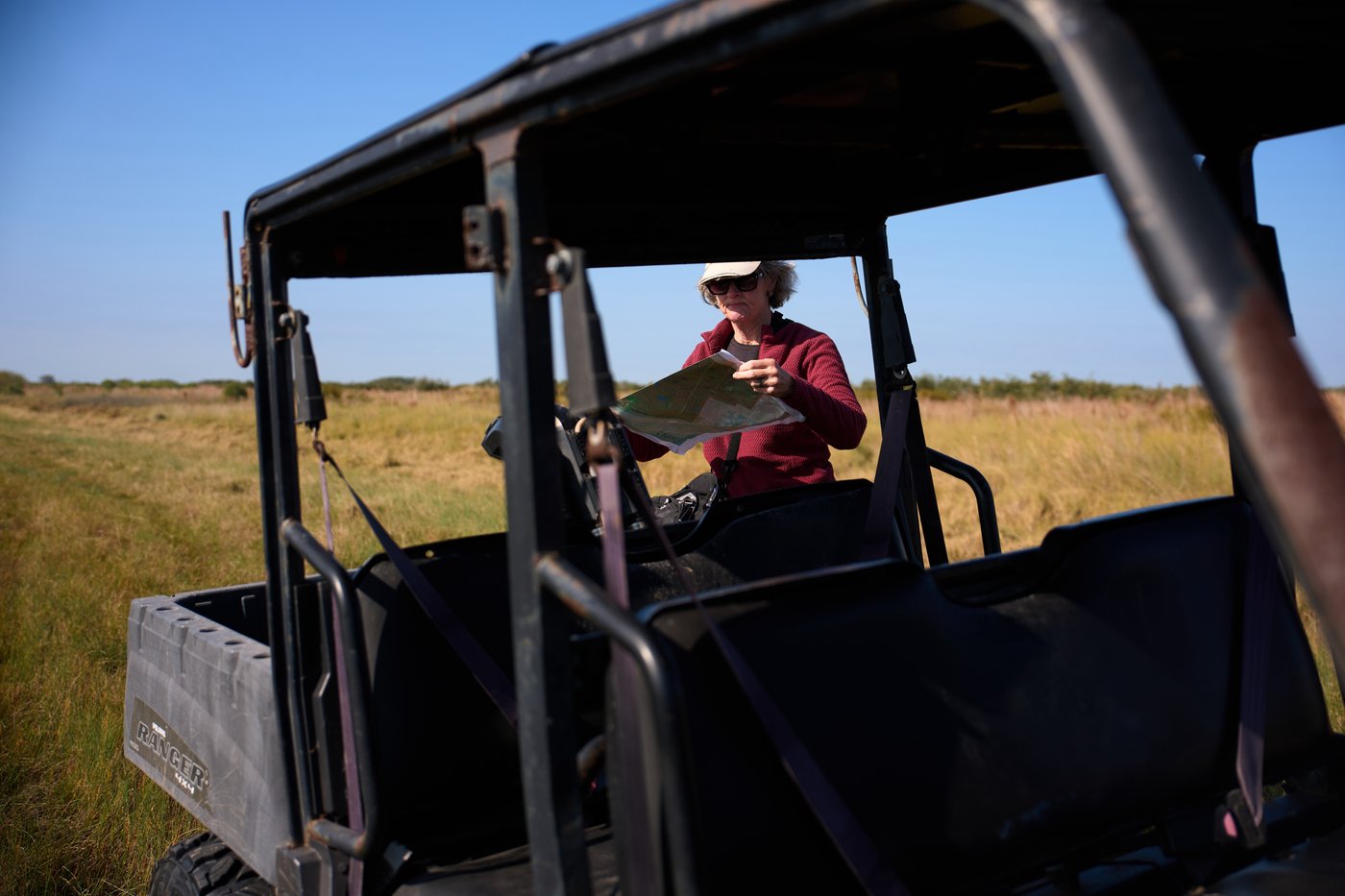 Along the Texas Coast, a new sanctuary aims to protect the endangered and rare whooping crane | iNFOnews.ca