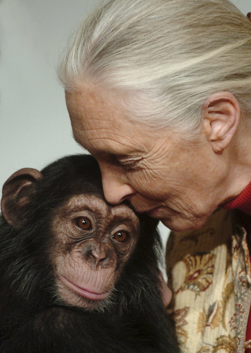 Jane Goodall, the celebrated primatologist and conservationist, has died | iNFOnews.ca