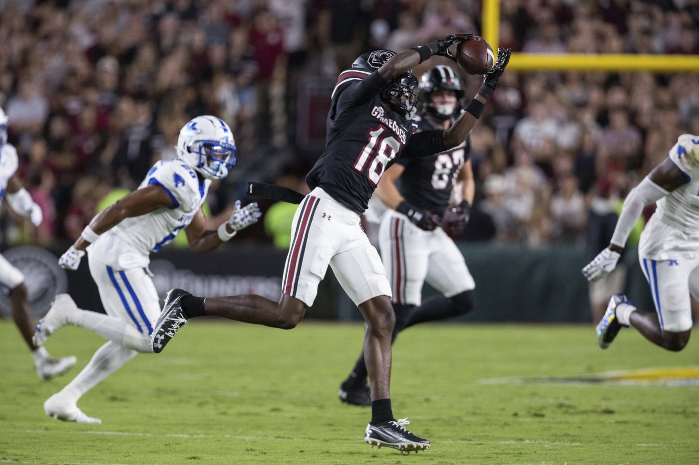 Defense guides South Carolina to 35-13 victory over Kentucky | iNFOnews.ca