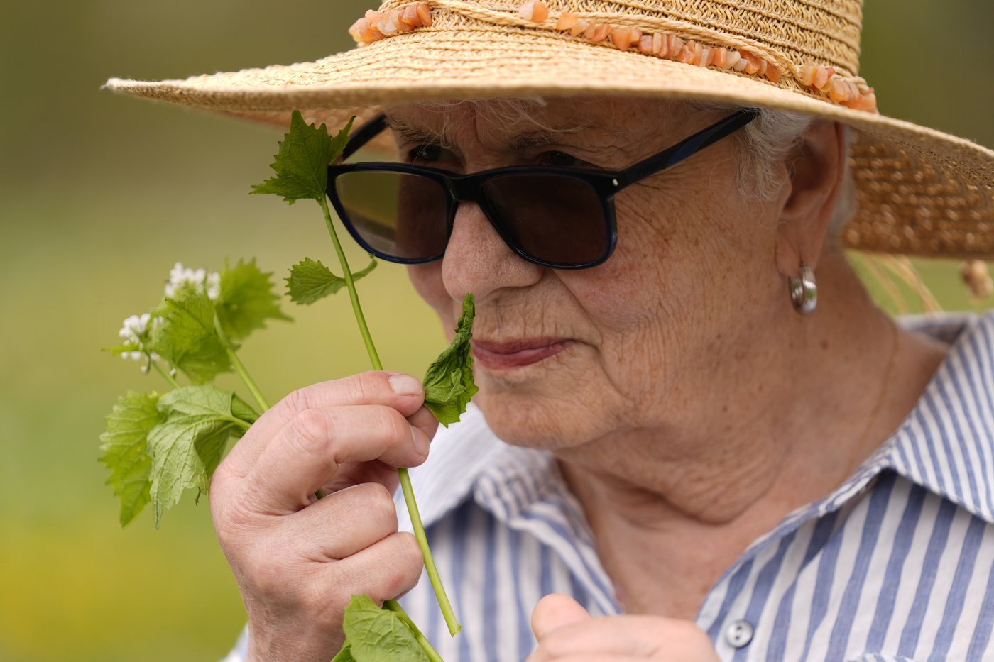 Foraging revival: How wild food enthusiasts are reconnecting with nature | iNFOnews.ca