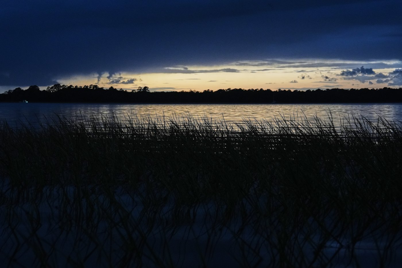 How friends in South Carolina are restoring a wetland and bringing their neighborhood together | iNFOnews.ca